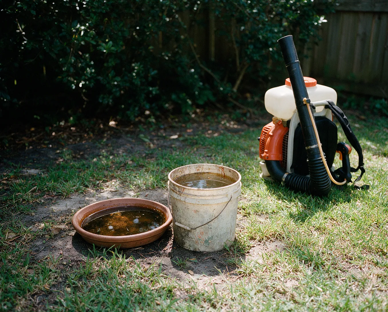 Standing water in a backyard planter saucer