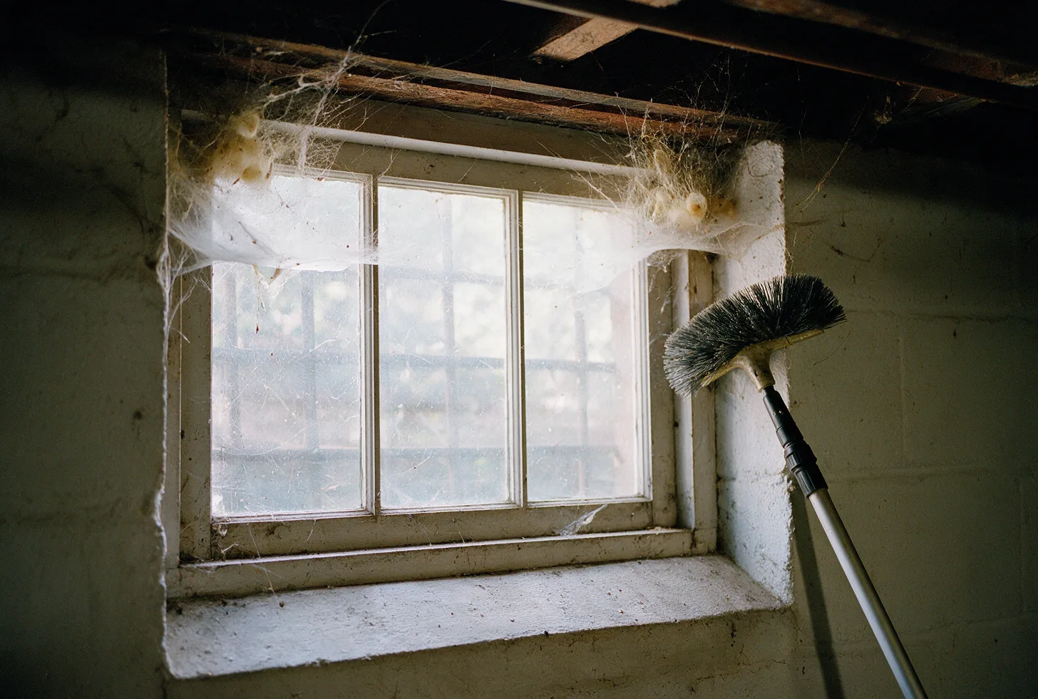 Cobwebs in the corners of a basement window
