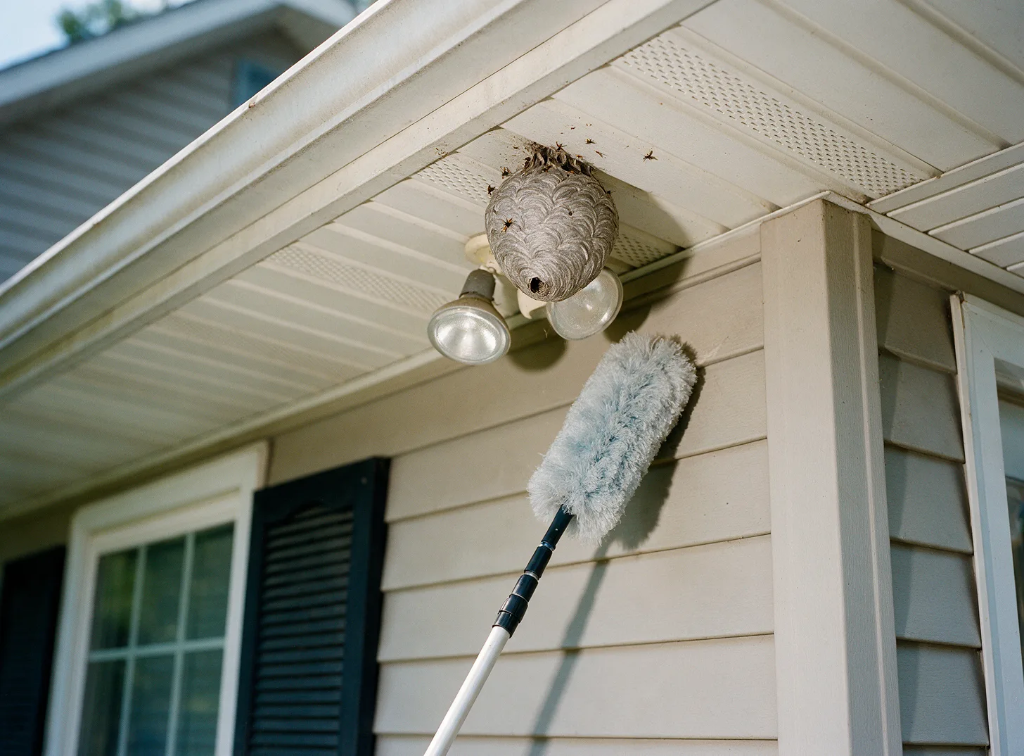 A paper wasp nest under a roof eave